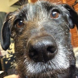 Rest In Peace my girlfriend of 15 years